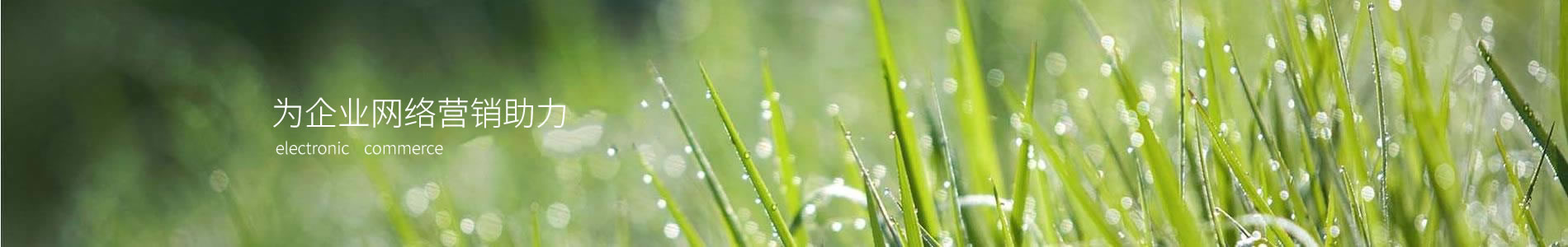 ൺҷĻ޹˾